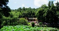 長沙出發(fā)到花明樓、韶山、張家界國家森林公園、天門仙山國家森林公園四日游